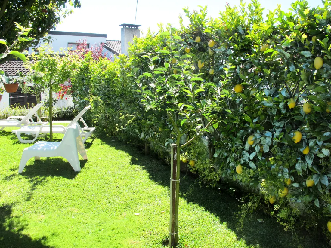 Maison de Vacances Fao