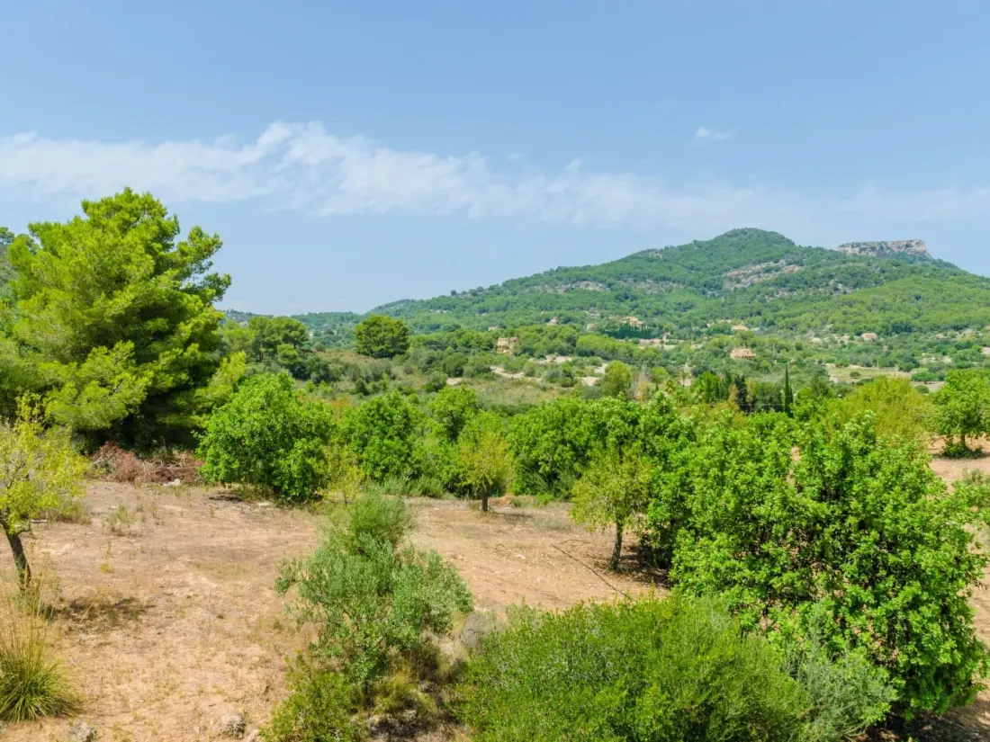 Maison de Vacances Felanitx