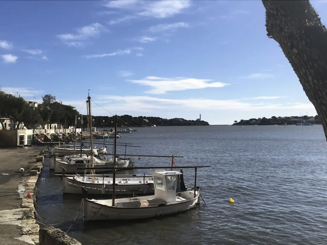 Maison de Vacances Felanitx