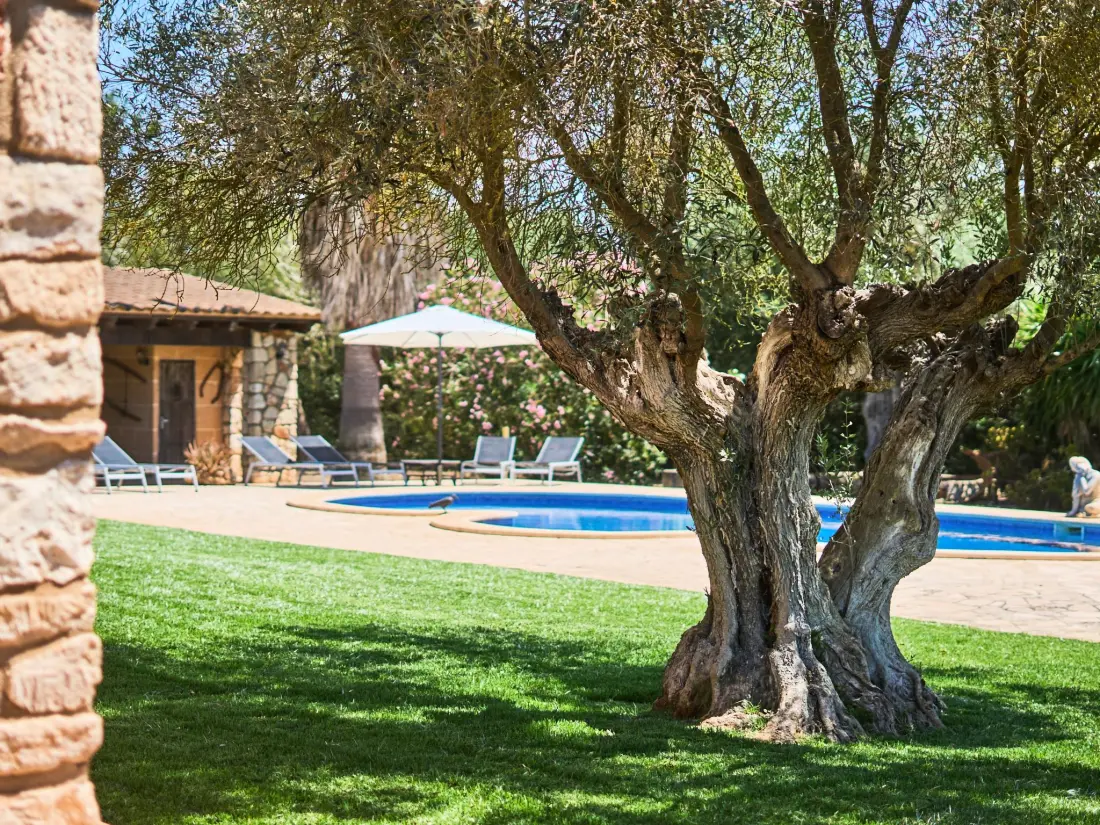 Maison de Vacances Felanitx