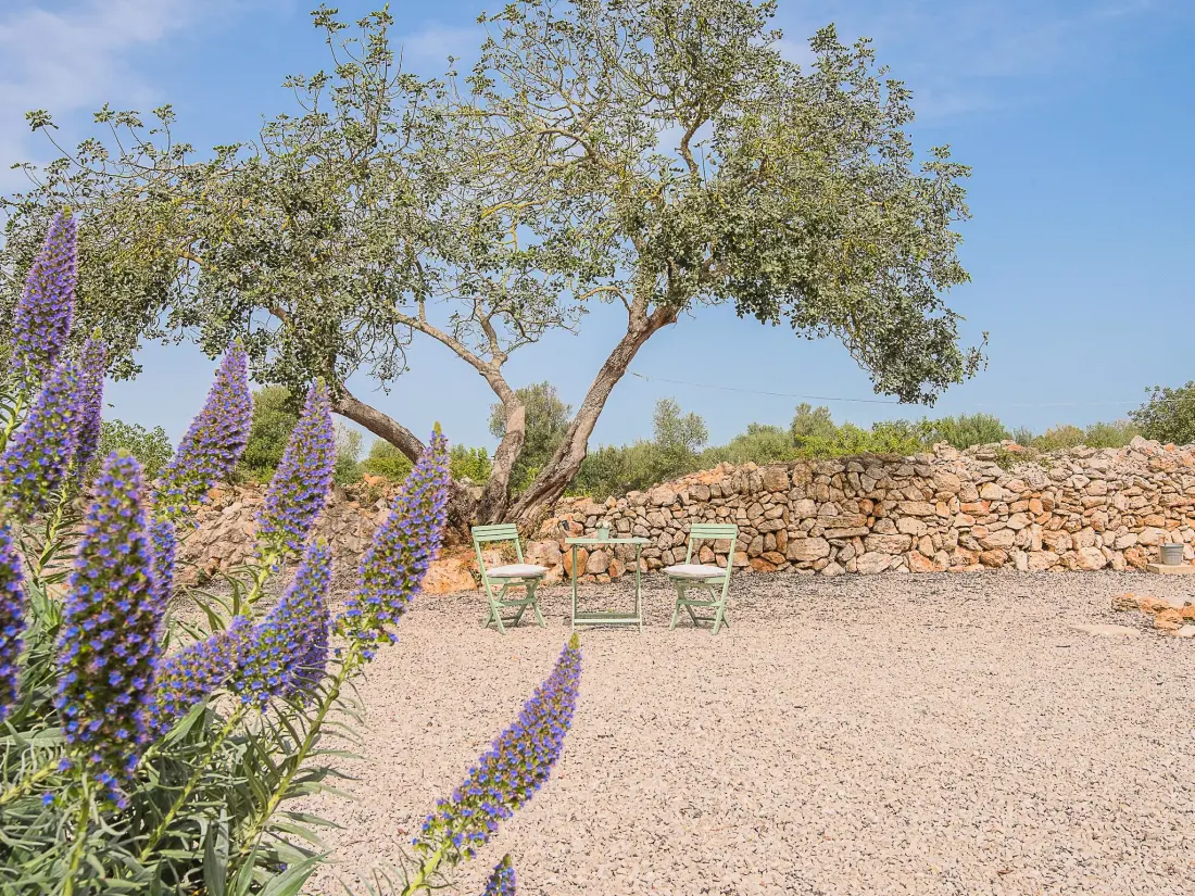 Maison de Vacances Felanitx