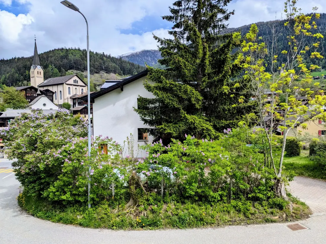 Résidence ABC Ferienwohnung 1 1. OG Süd Appartement/Fewo, Dusche oder Bad, WC