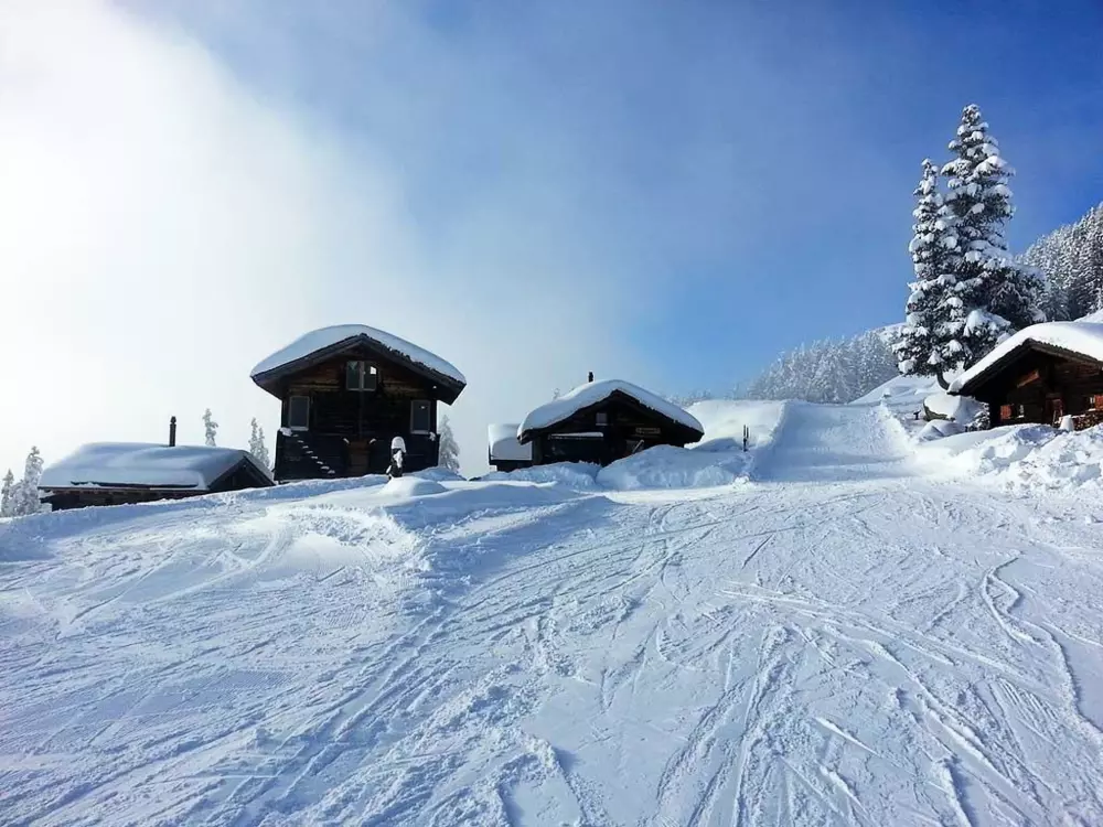 Résidence Alphütte Bielerhüs