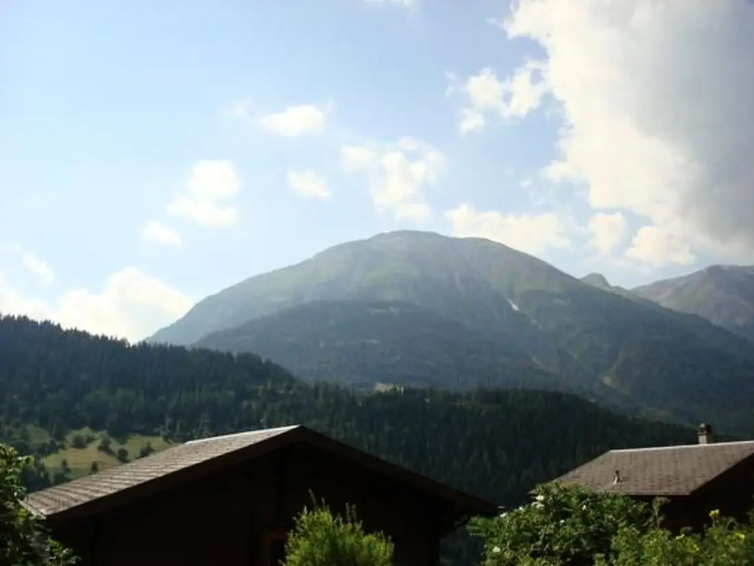 Résidence Chalet Bärli