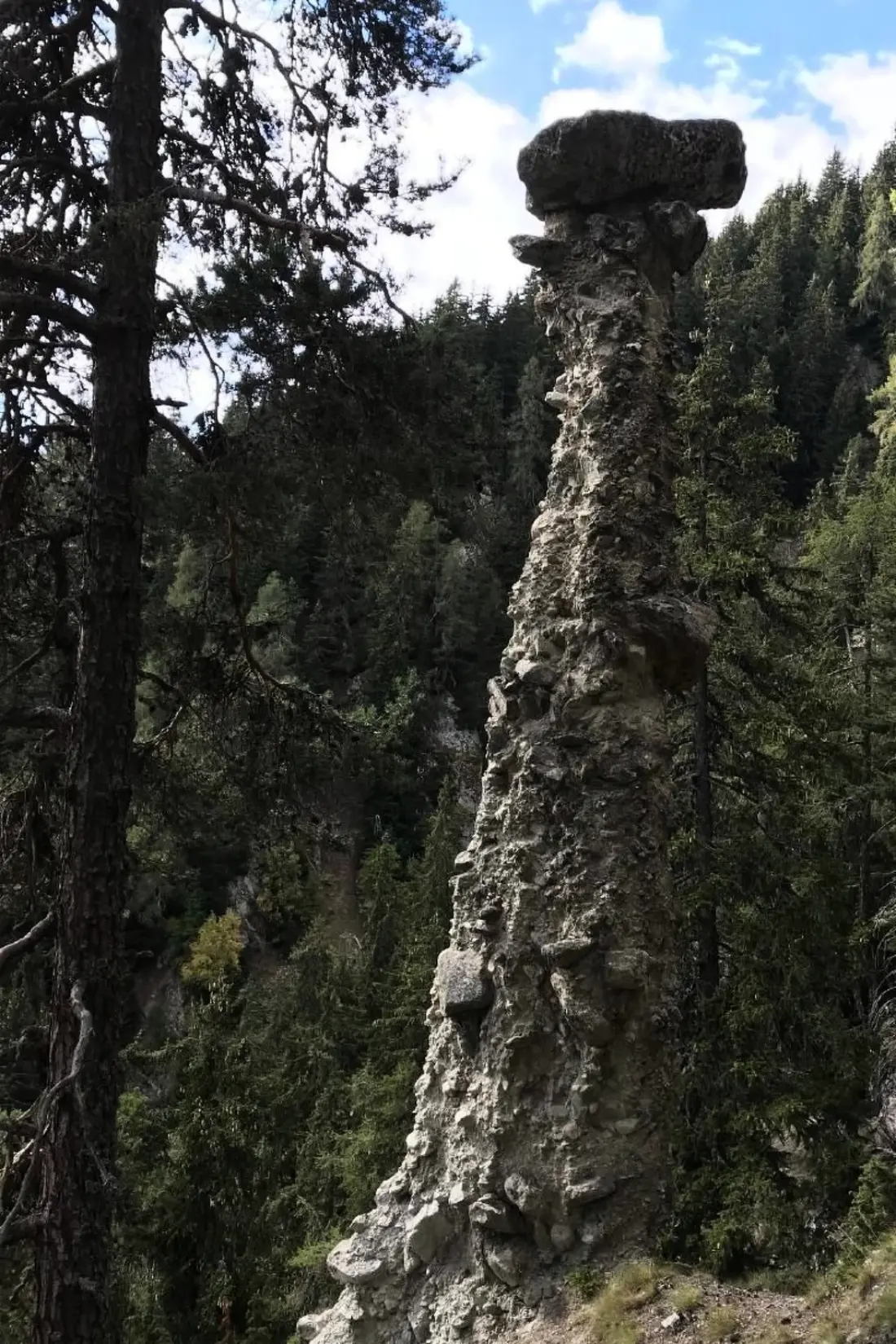 Résidence Gibelegga in Fiesch