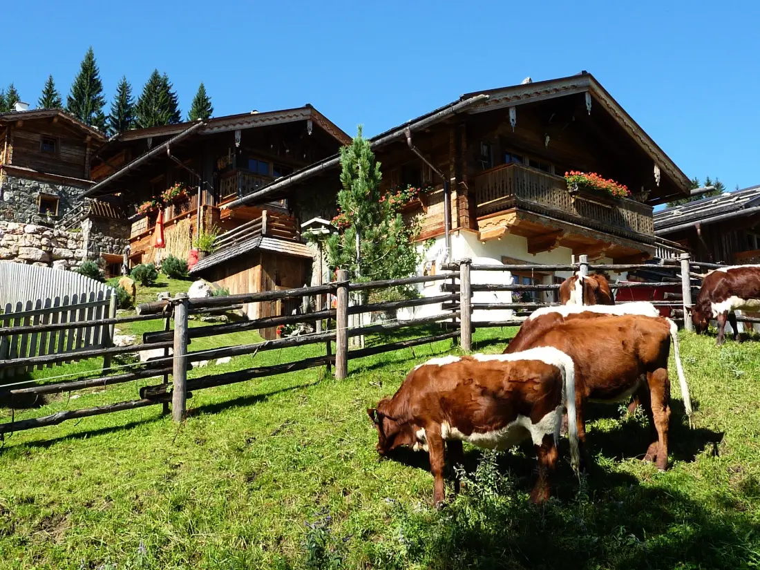 Maison de Vacances Flachau