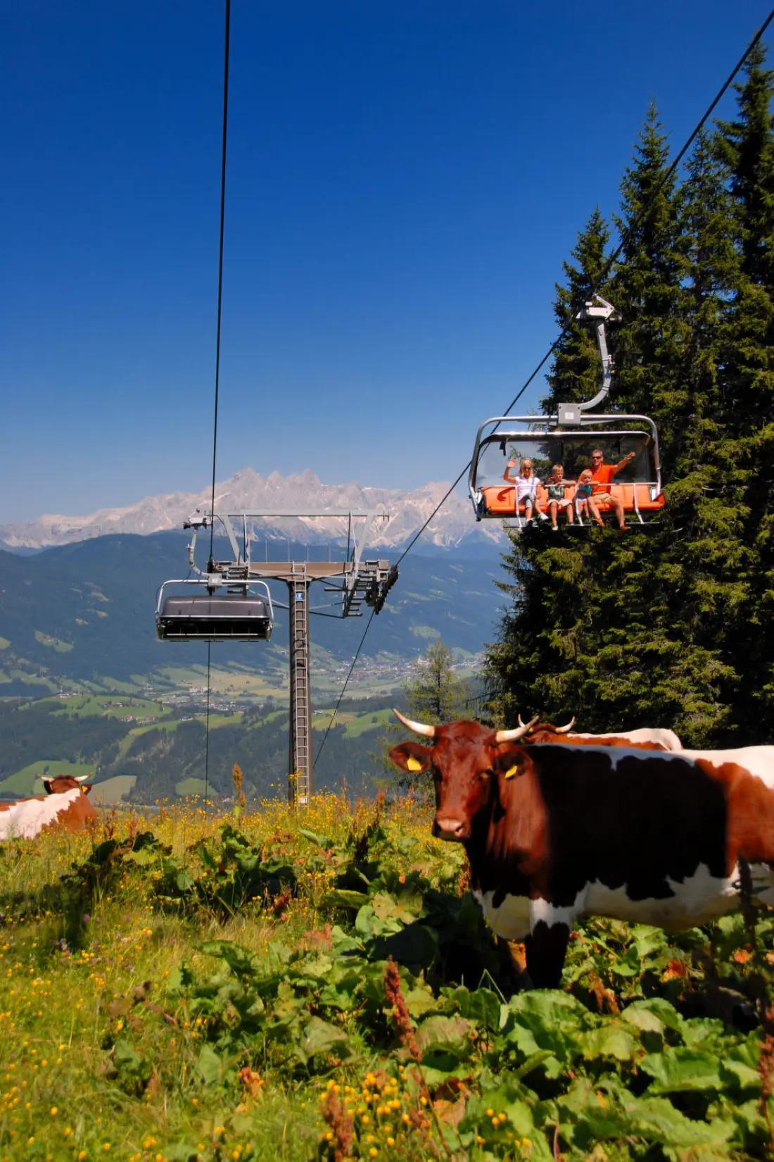 Maison de Vacances Flachau