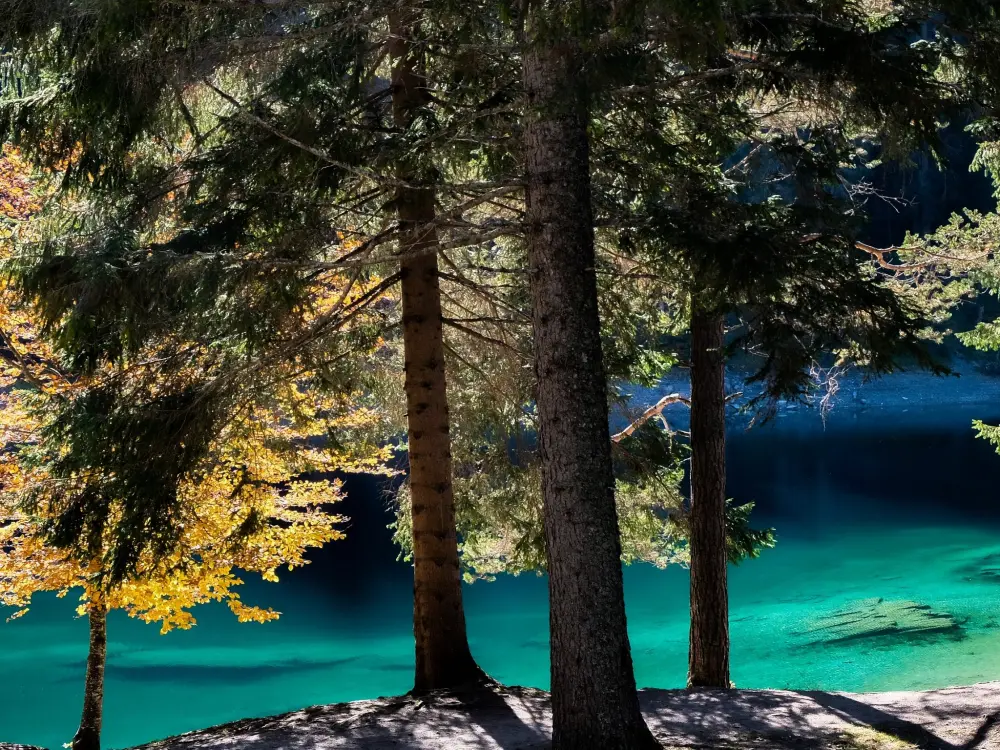 Location de Vacances Laax