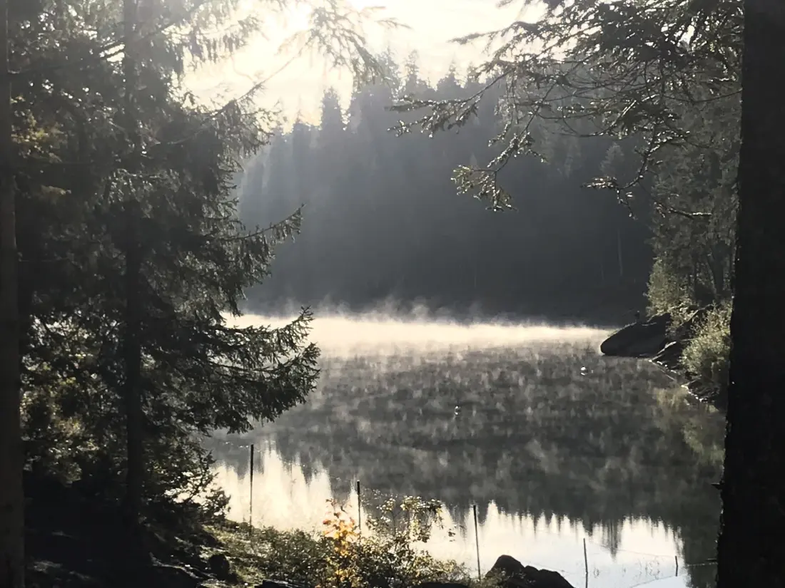 Résidence Casa Primavera B32, (Flims Dorf). 3.5 Zimmerwohnung