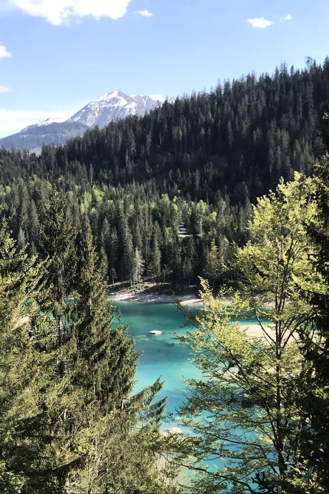 Résidence Casa Primavera B32, (Flims Dorf). 3.5 Zimmerwohnung