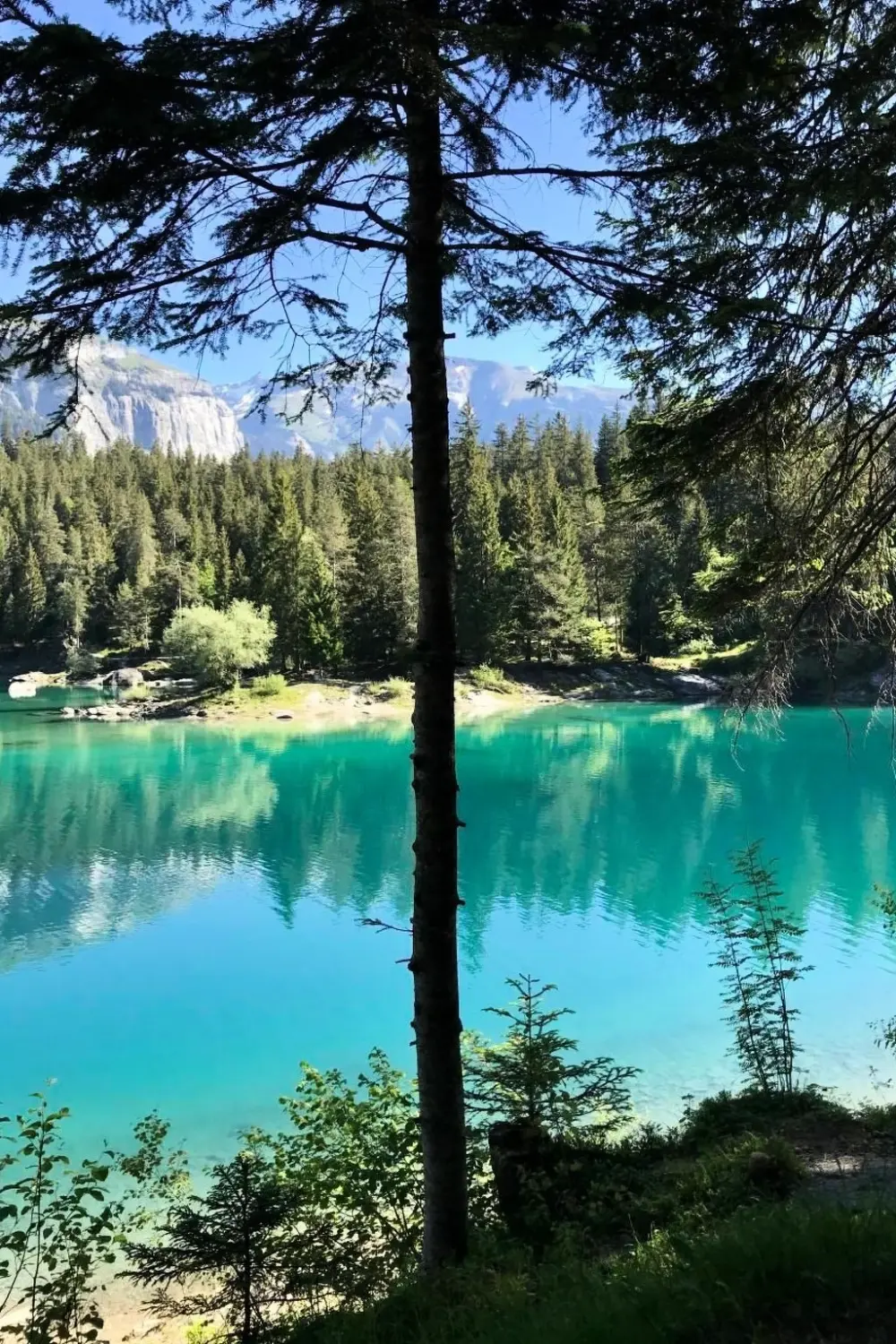 Résidence Flims Stenna SELVA direkt bei Bergbahnen Skipiste