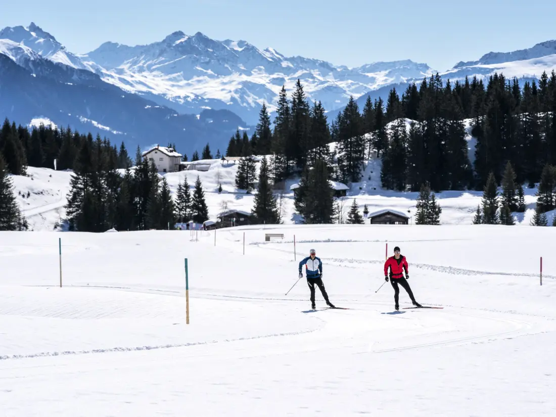 Résidence Hapimag Resort Flims, (Flims Waldhaus), 2629