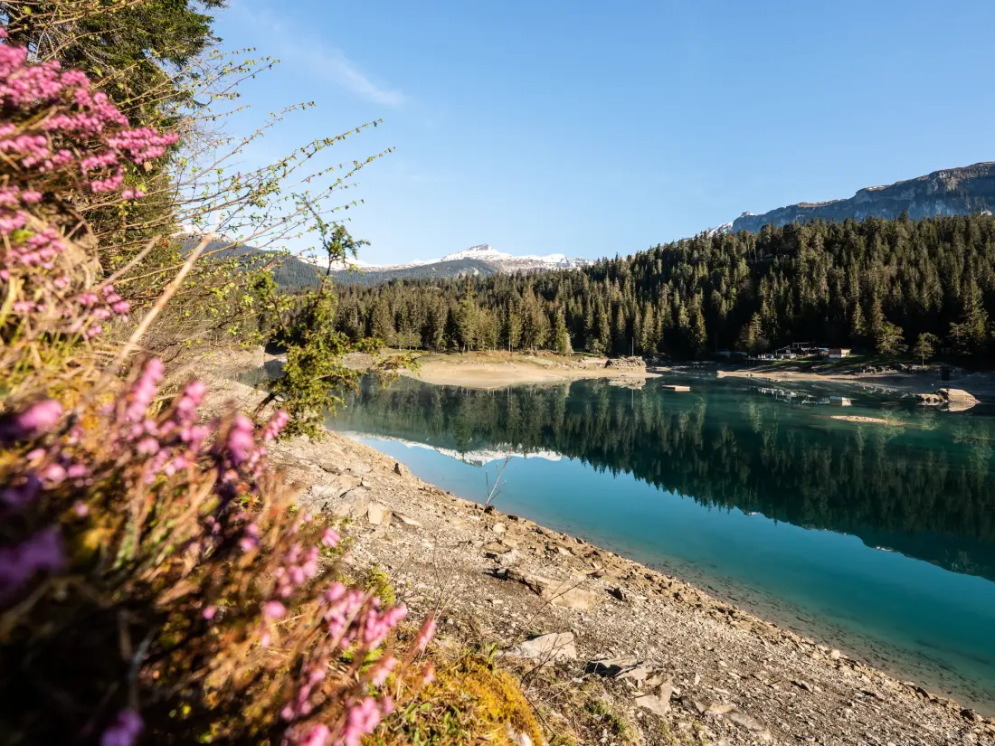 Résidence Mira Flem, (Flims Dorf),