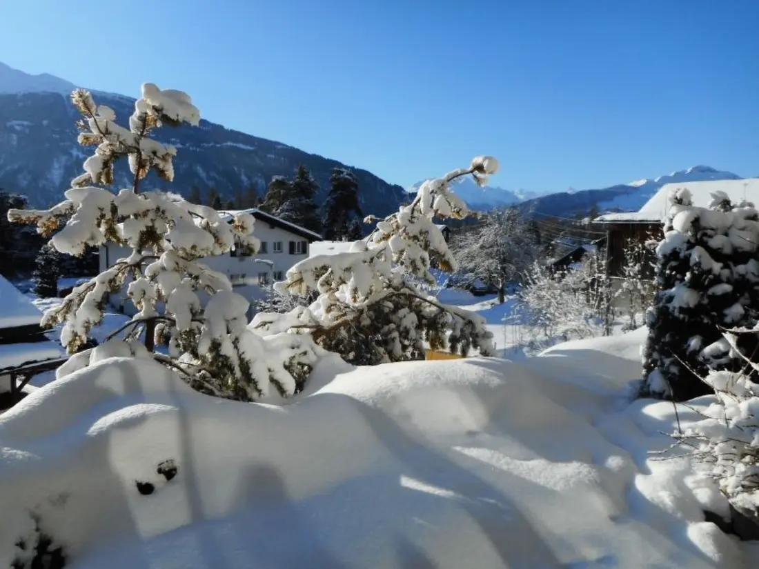 Résidence Pignia 2 / Greulich, (Laax Dorf), 25223