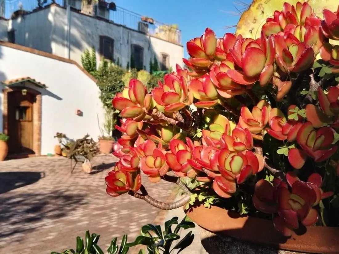 Maison de Vacances Fontane Bianche