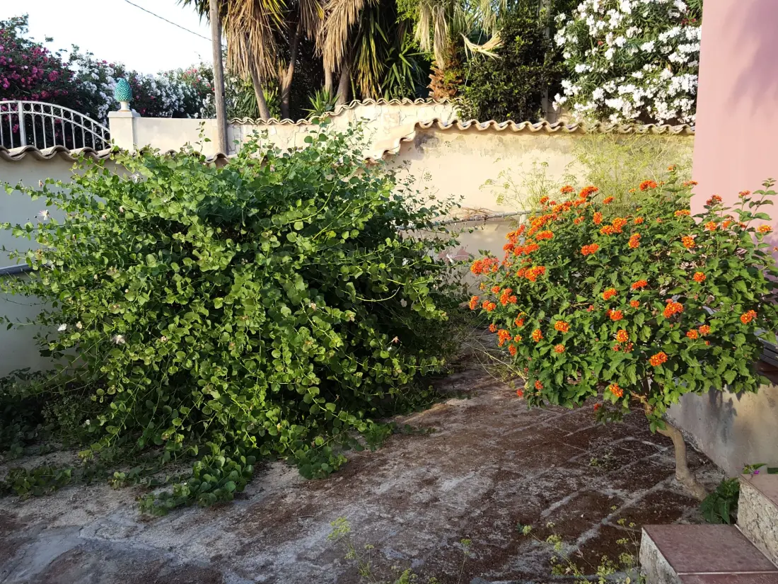 Maison de Vacances Fontane Bianche