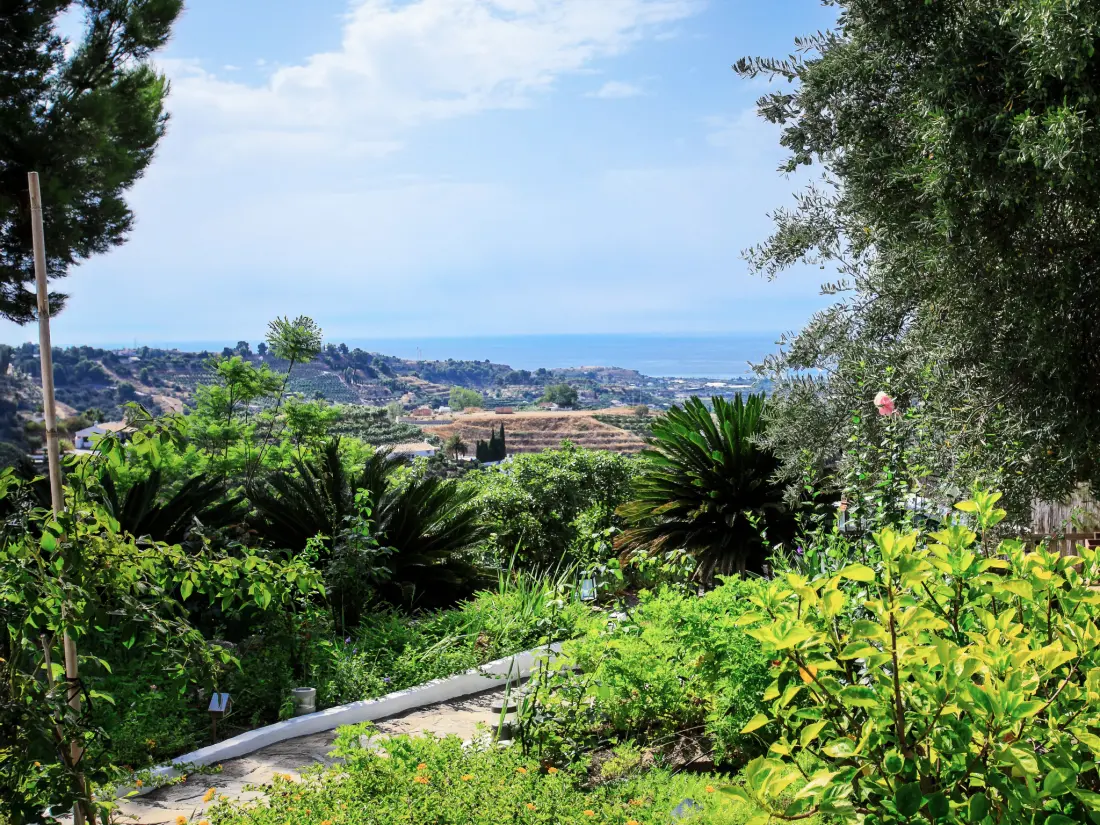 Maison de Vacances Frigiliana