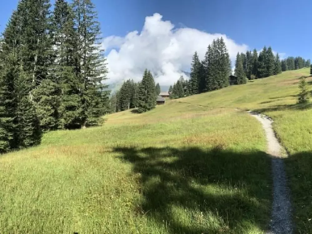 Maison de Vacances Frutigen