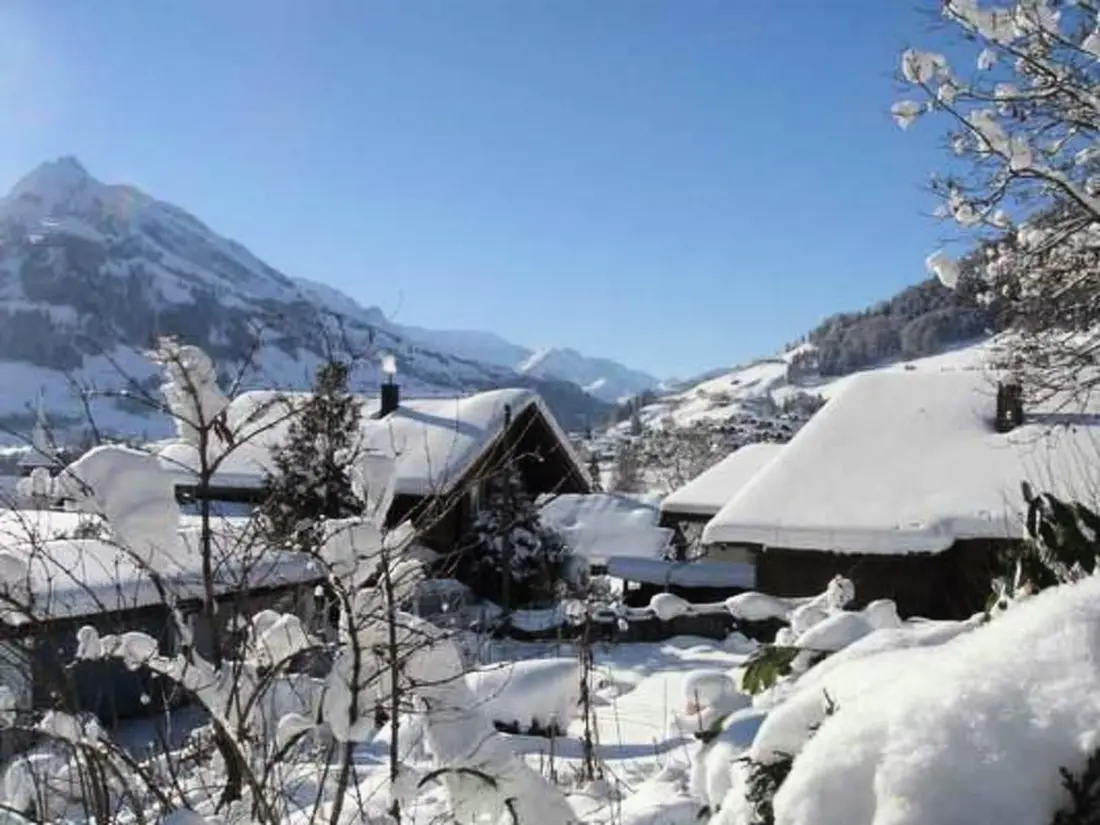 Maison de Vacances Frutigen