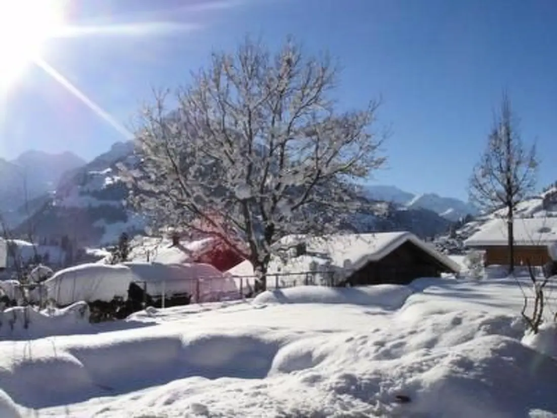 Maison de Vacances Frutigen