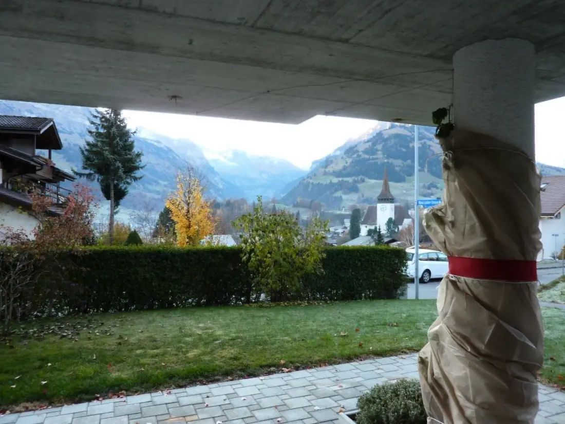 Résidence Abesunne Appartement/Fewo, Dusche, WC, 1 Schlafraum Sarbach - Erdgeschoss