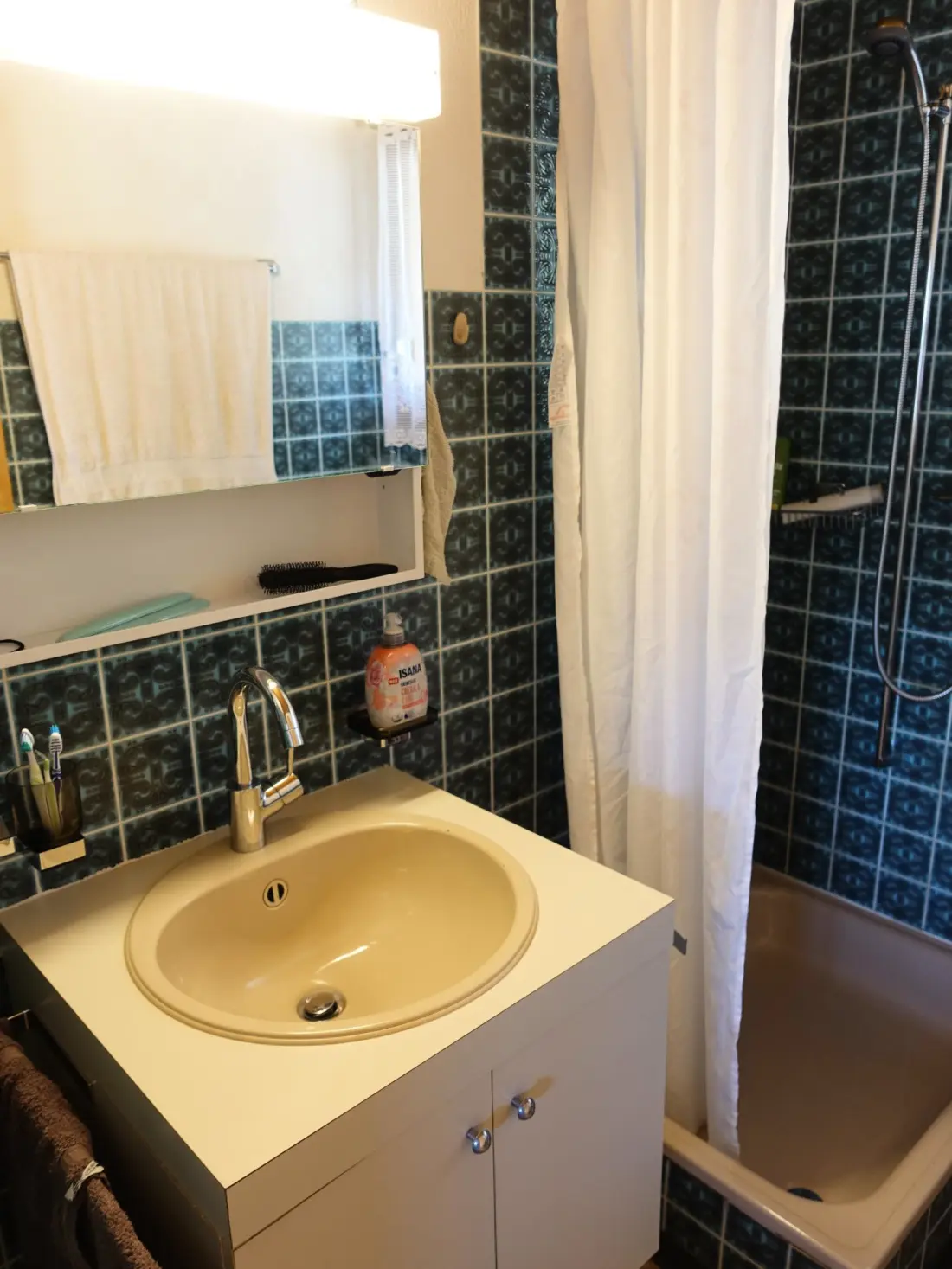 Résidence Bergperle Ferienhaus, Dusche, WC, Terrasse Ferienhaus, Dusche, WC, Terrasse