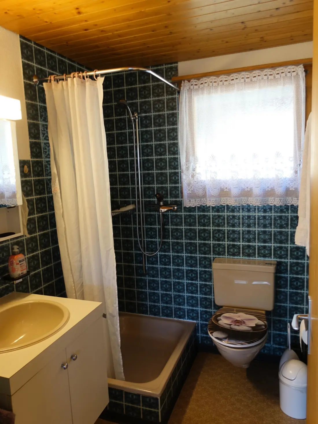 Résidence Bergperle Ferienhaus, Dusche, WC, Terrasse Ferienhaus, Dusche, WC, Terrasse