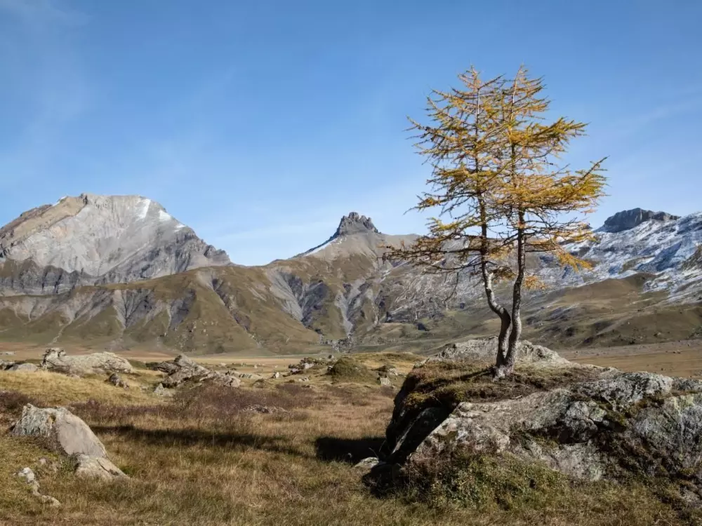 Résidence Gehrihornblick