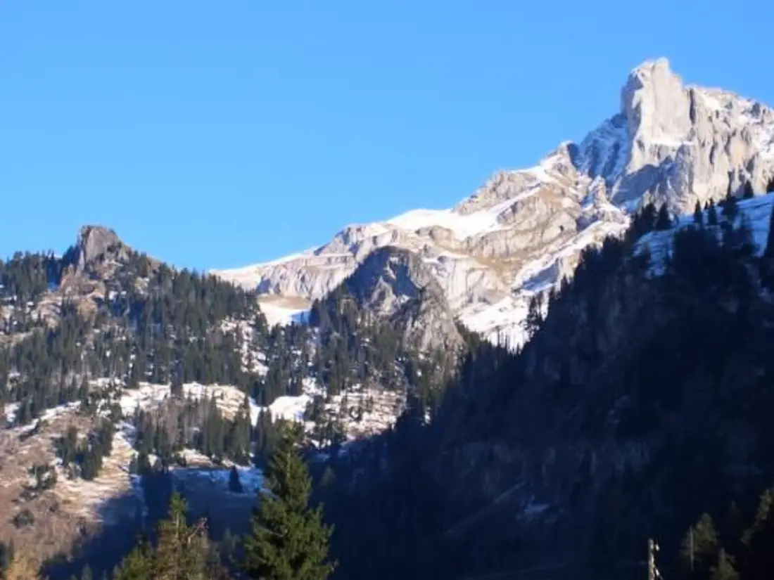 Résidence Studio Kanderbrück