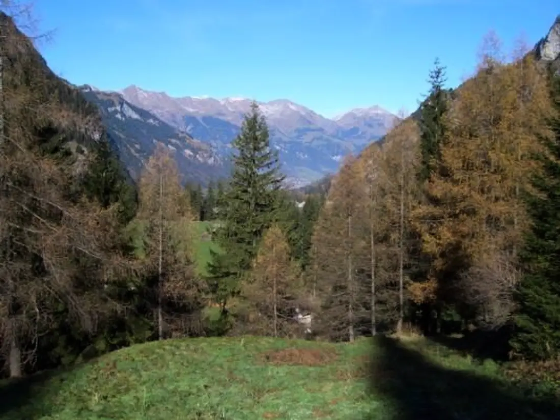 Résidence Studio Kanderbrück