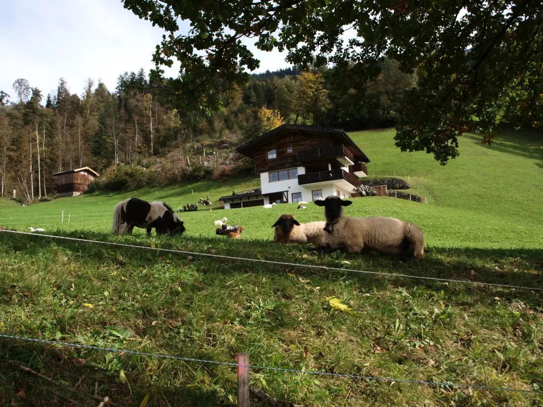 Maison de Vacances Fügen