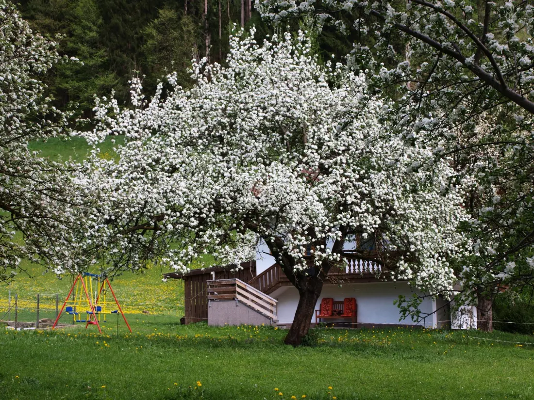 Maison de Vacances Fügen