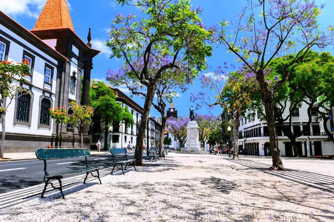 Appartements à Funchal (Madère)