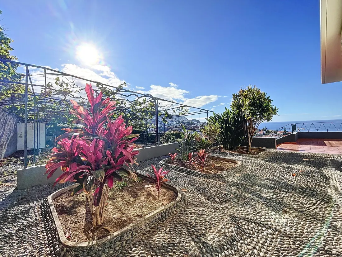 Appartements à Funchal (Madère)