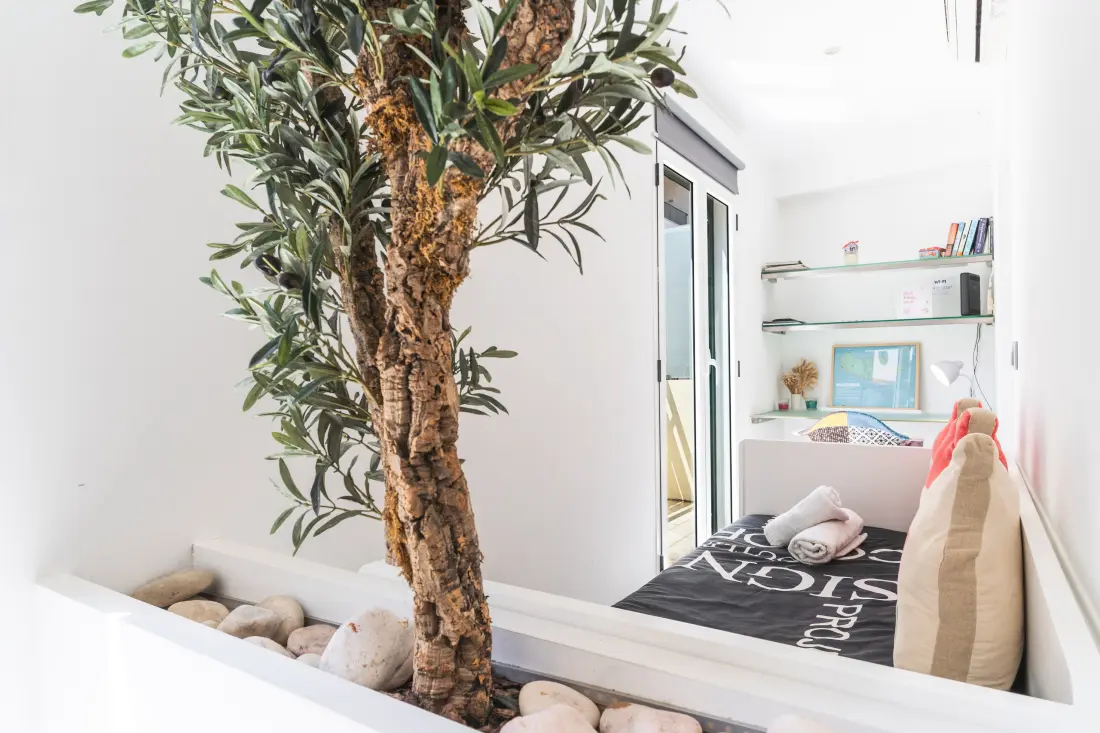 Appartements à Funchal (Madère)