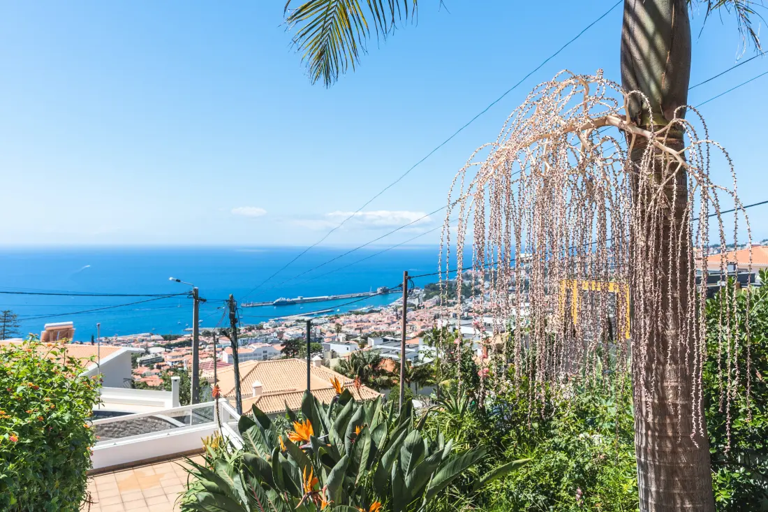 Maison à Funchal (Madère)