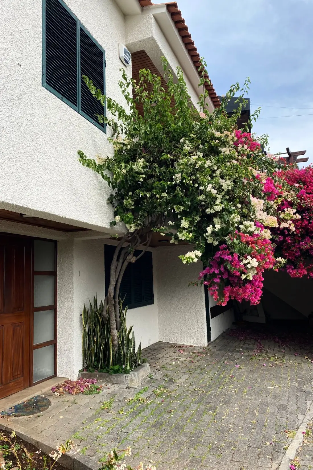 Maison de Vacances Madeira/Funchal