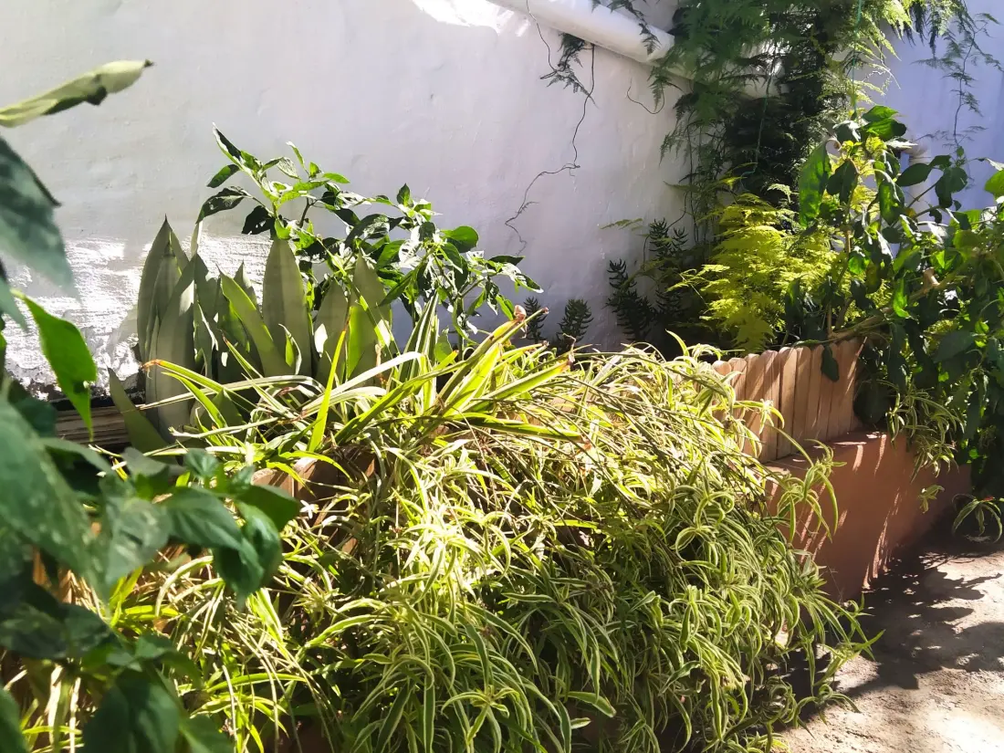 Maison de Vacances Galdar