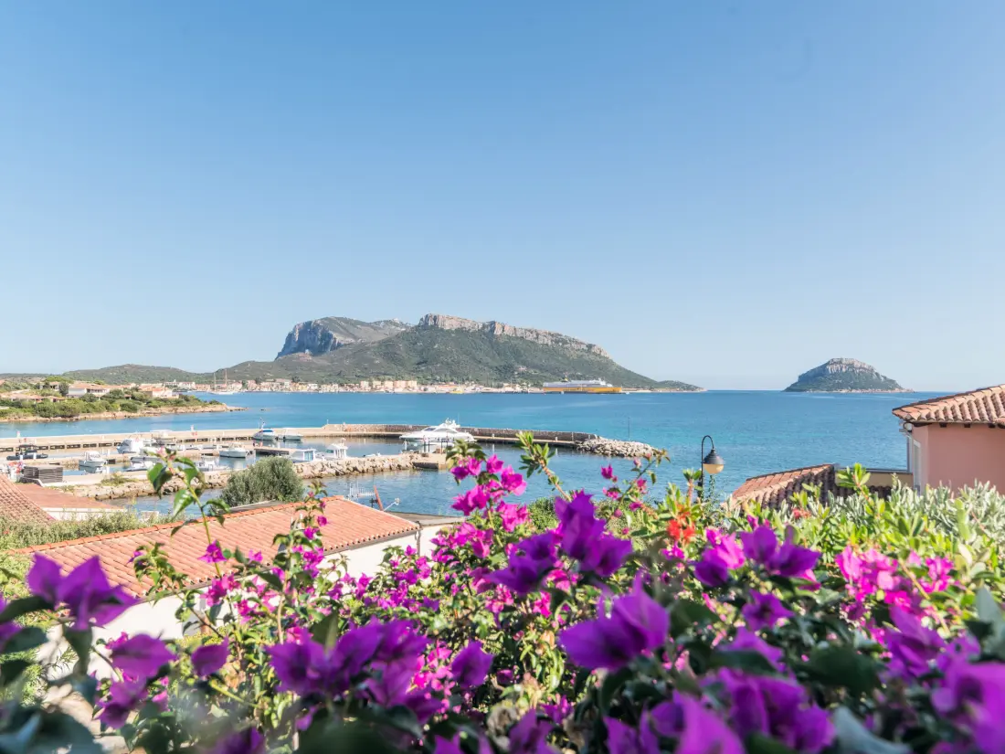 Résidence S'Abba e Sa Pedra
