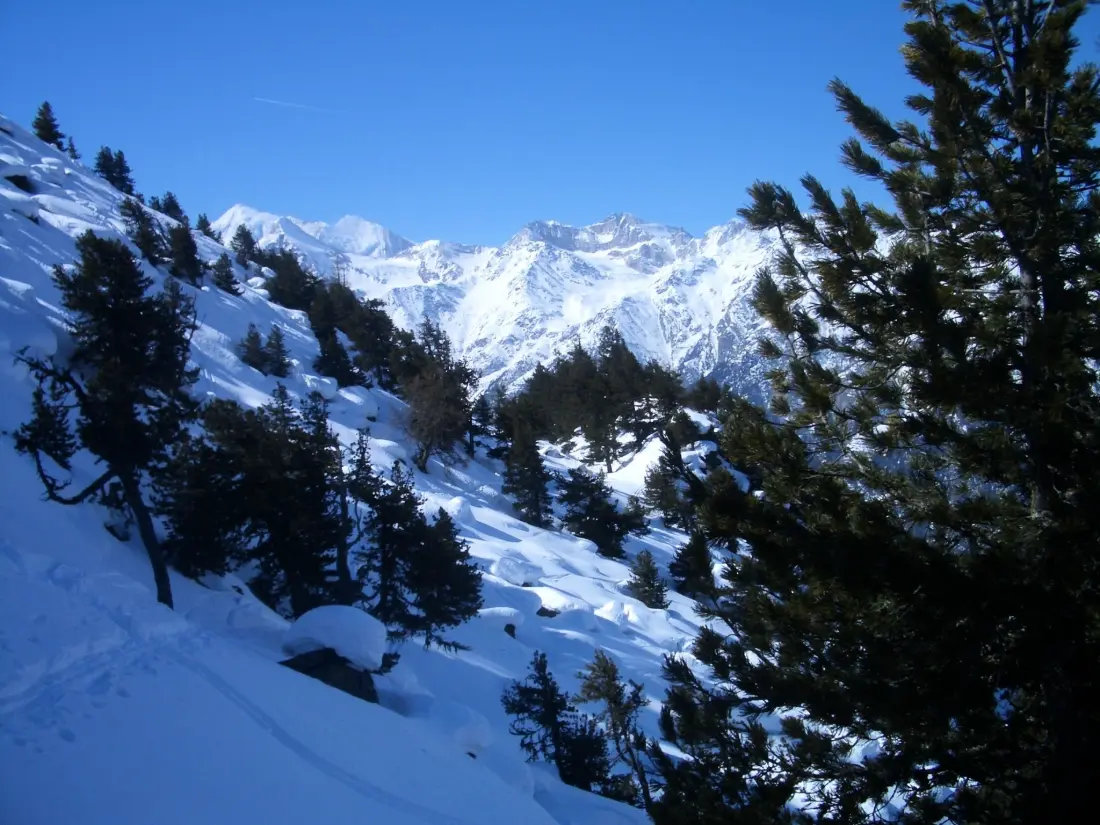 Résidence Chalet Ferienwohnungen Schwalbennest Moos Grächen, (Grächen),