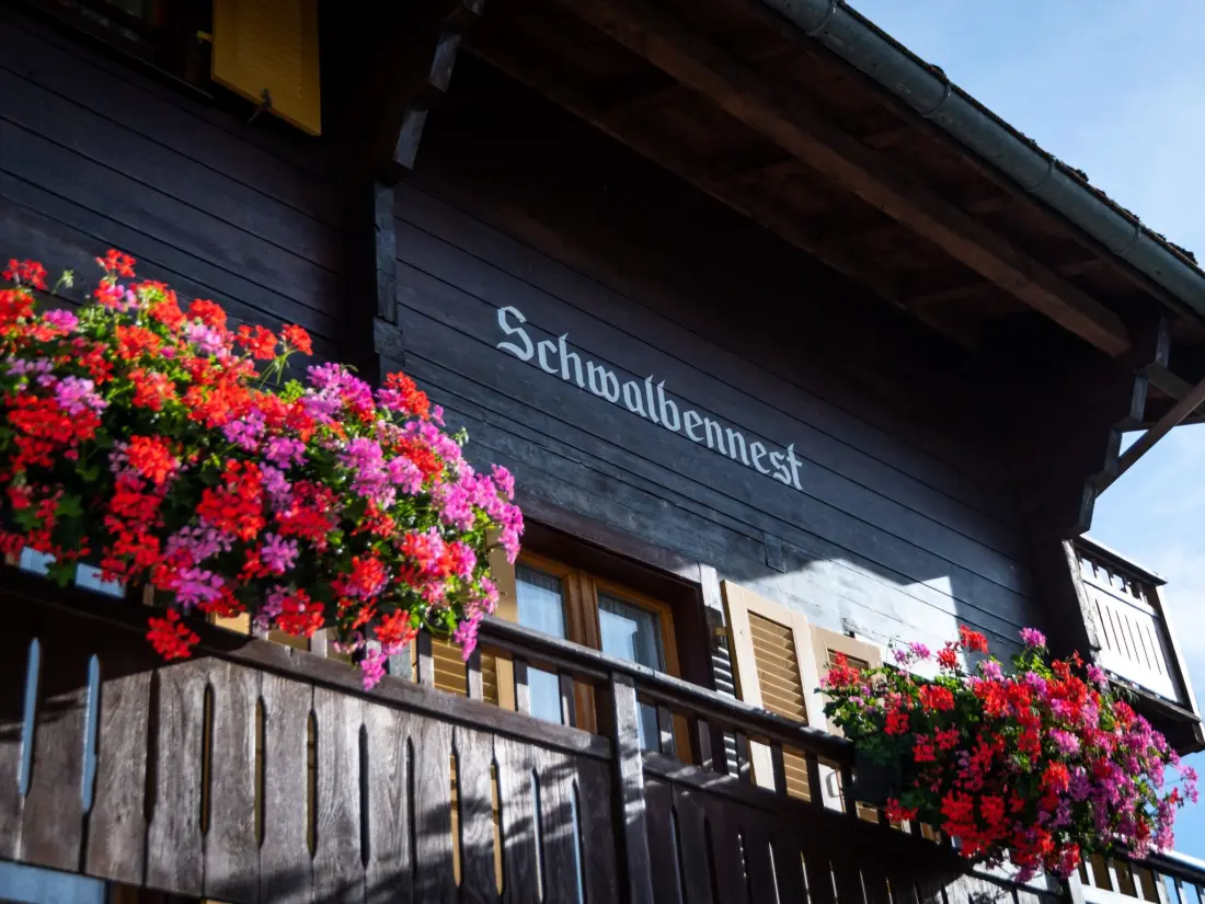 Résidence Chalet Ferienwohnungen Schwalbennest Moos Grächen, (Grächen),