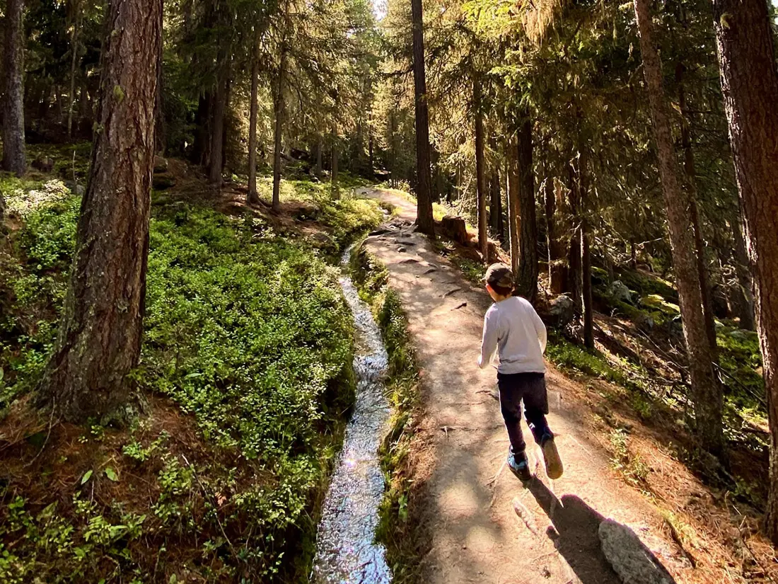 Résidence Chalet Jungtalblick Drieri