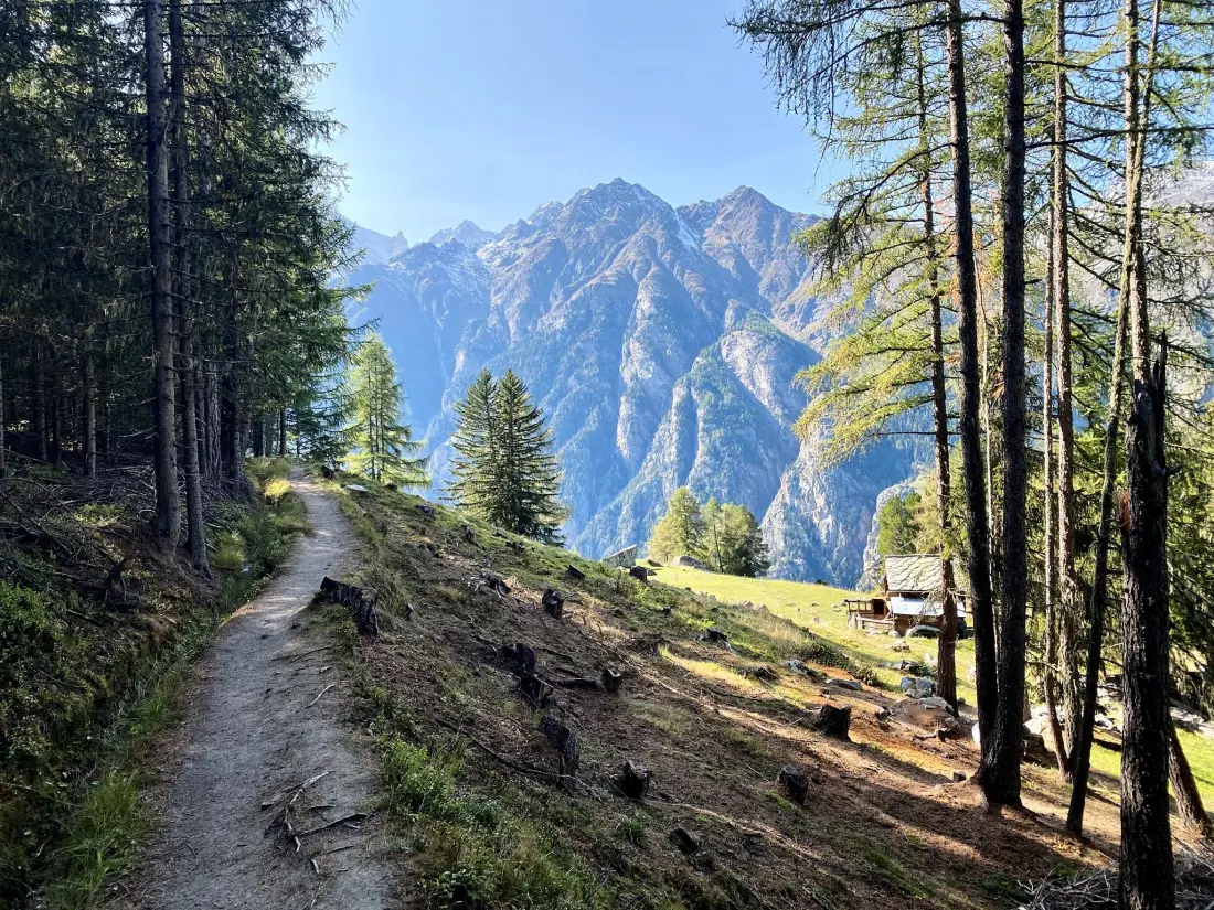 Résidence Chalet Jungtalblick Drieri