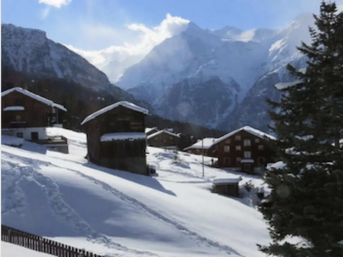 Résidence Chalet Safran, (Grächen), 1063 & 1594