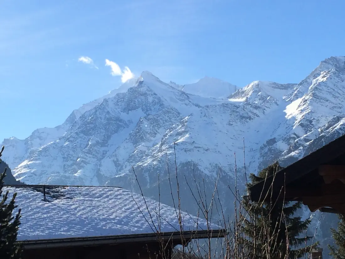 Résidence Chalet Safran, (Grächen), 1063 & 1594