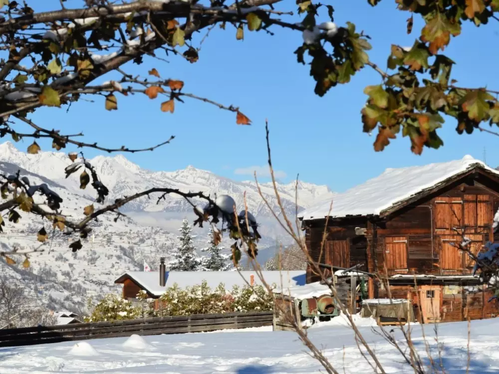 Résidence FeWo JUFA Grächen