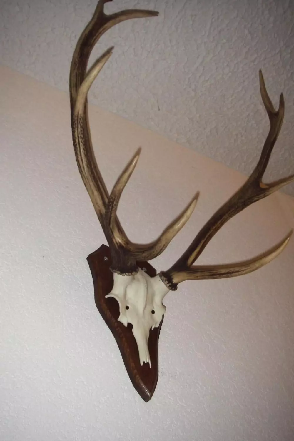 Résidence FeWo JUFA Grächen