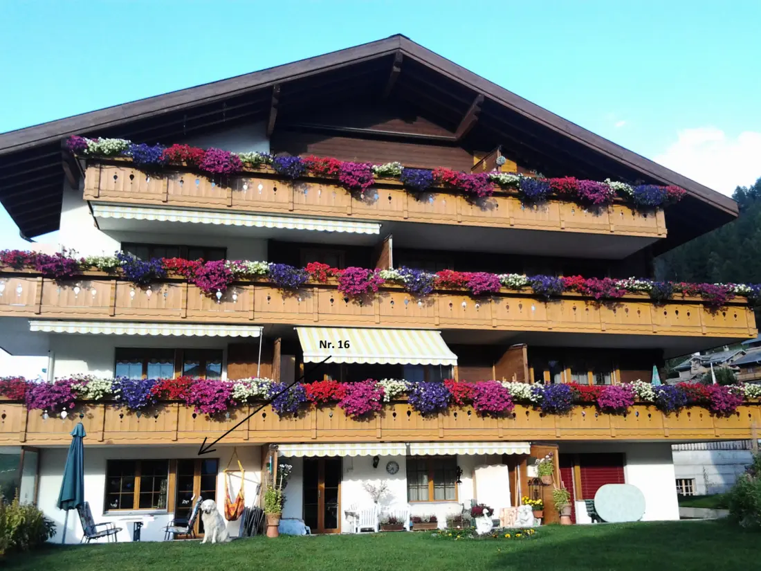 Résidence Sierra Vista 16, (Grächen), 5003