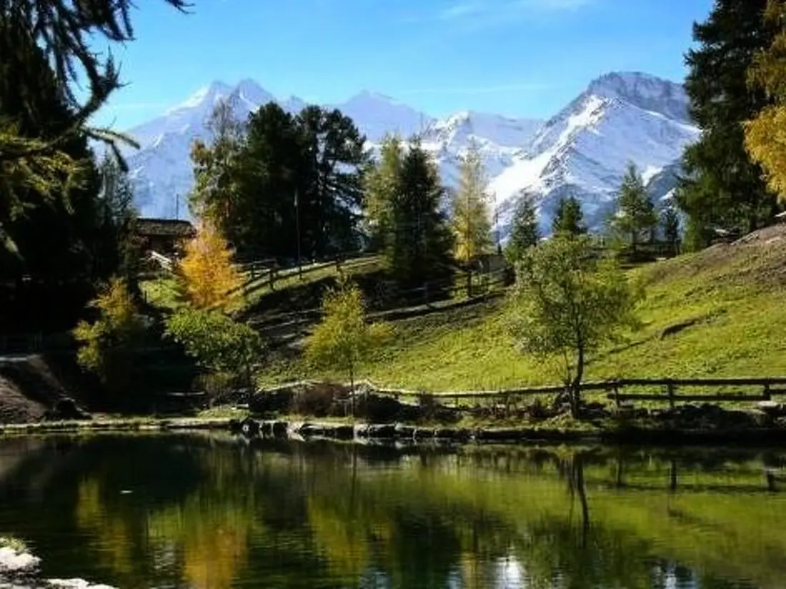Résidence Silberblick, (Grächen),
