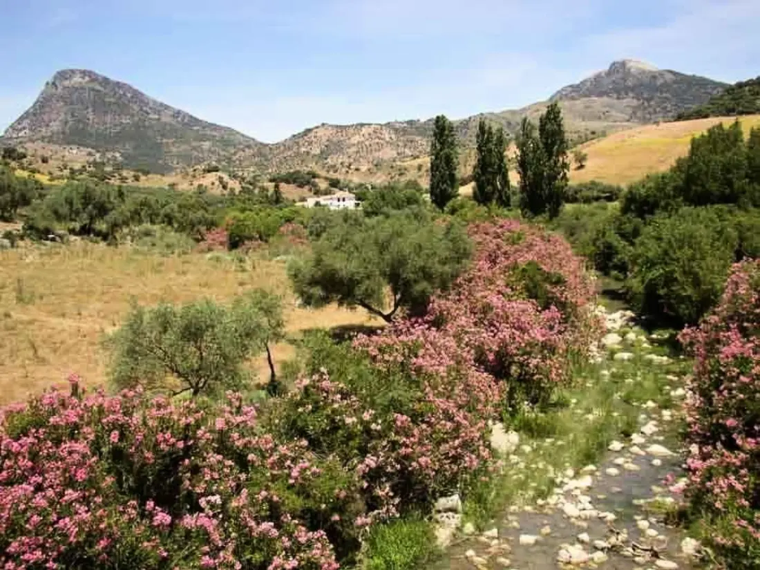 Maison de Vacances Sierra de Cádiz / Grazalema